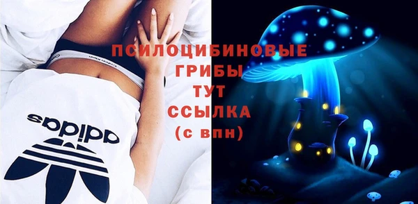 дживик Баксан