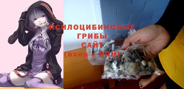 дживик Баксан