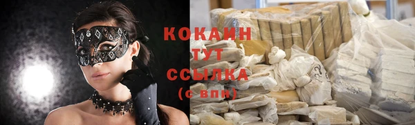 дживик Баксан