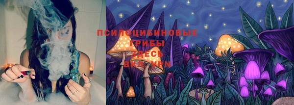 дживик Баксан