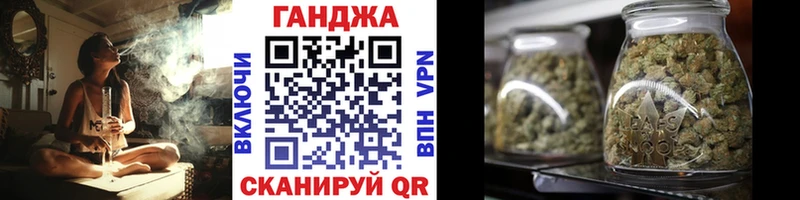 где купить   Жиздра  Конопля семена 